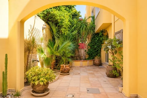 Property building, Garden, View (from property/room), Garden view