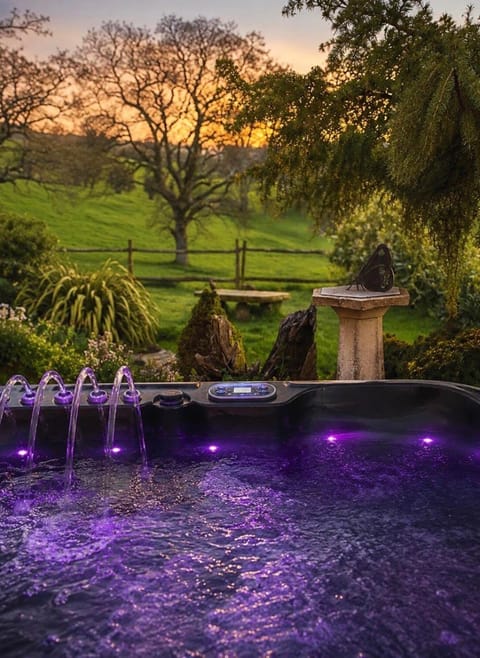 Hot Tub, Swimming pool