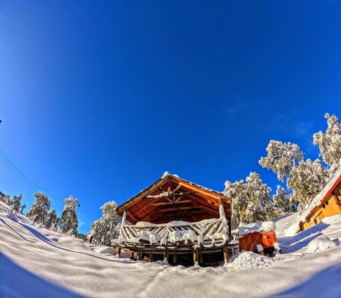 Day, Natural landscape, Winter