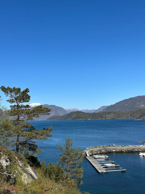 Property view