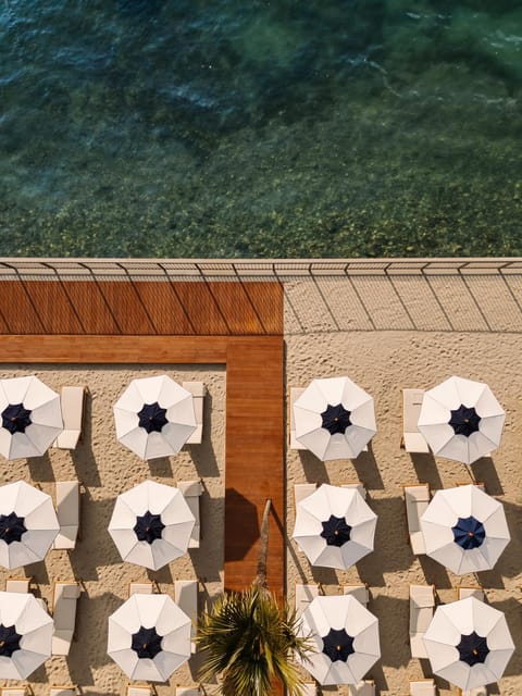 Property building, Beach, Swimming pool