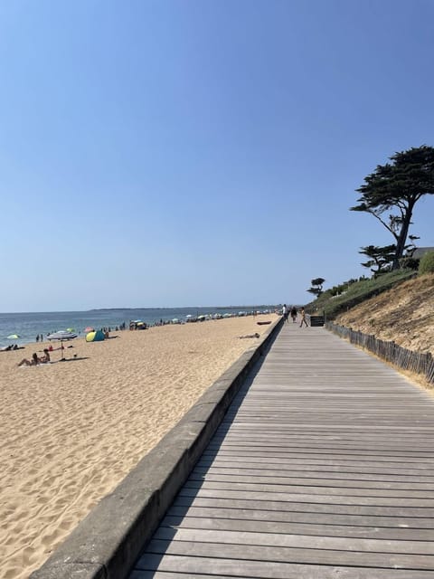 Natural landscape, Beach, Sea view