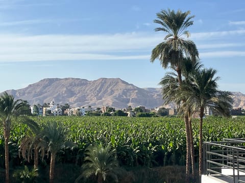 Natural landscape, View (from property/room), Mountain view