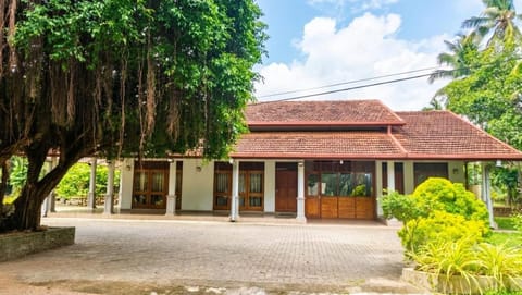 Property building, Garden, Garden view