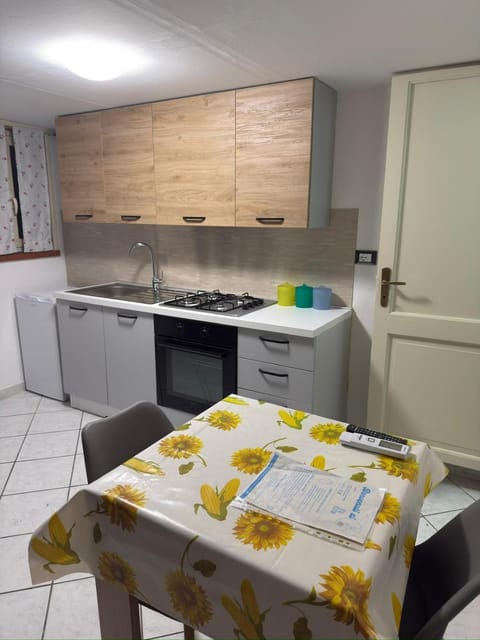 Kitchen or kitchenette, Dining area, oven, stove