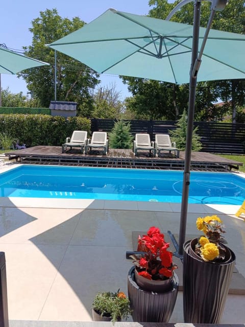 Patio, Day, Garden, Garden view, Pool view, Swimming pool, sunbed