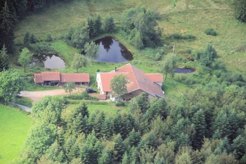 Natural landscape