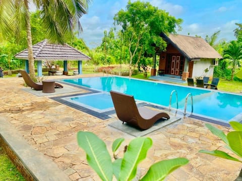 Day, Pool view, Swimming pool, Swimming pool, sunbed