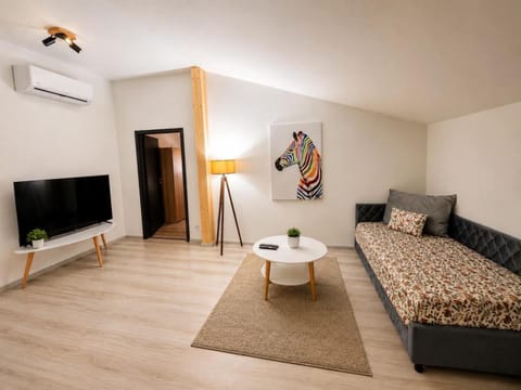 Communal lounge/ TV room, Living room, air conditioner