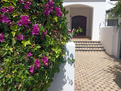 Garden, Garden view