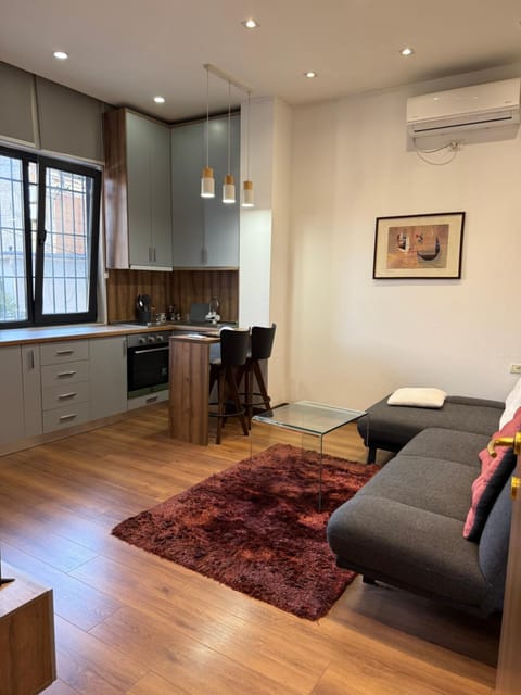 Kitchen or kitchenette, Living room, Seating area, Dining area, air conditioner