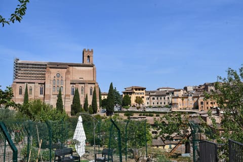 City view, Landmark view