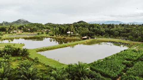 Natural landscape
