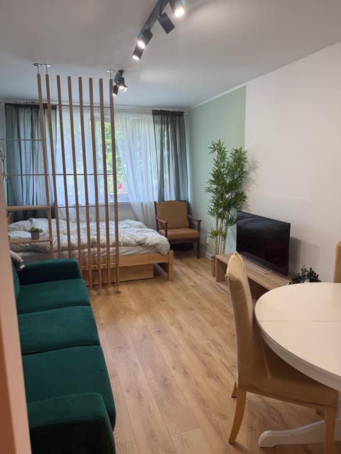 Bed, Living room, Photo of the whole room, Seating area, Bedroom