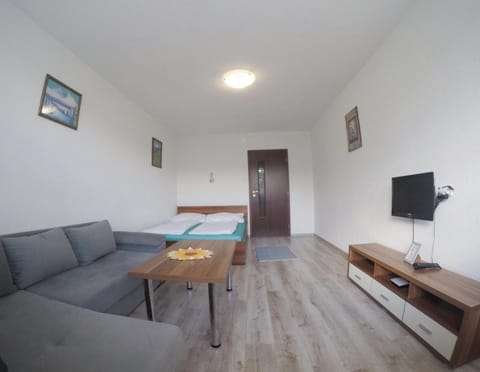 TV and multimedia, Living room, Photo of the whole room, Seating area, Bedroom