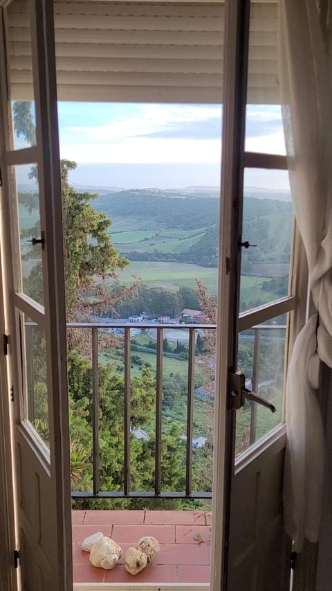 View (from property/room)
