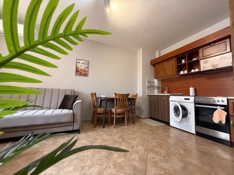Kitchen or kitchenette, Living room, Seating area, Dining area, oven, stove, washing machine