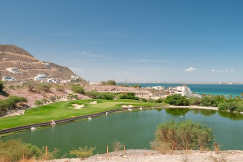 Day, Lake view, Sea view