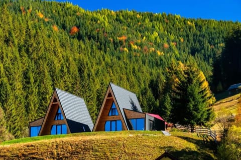 Natural landscape, Mountain view