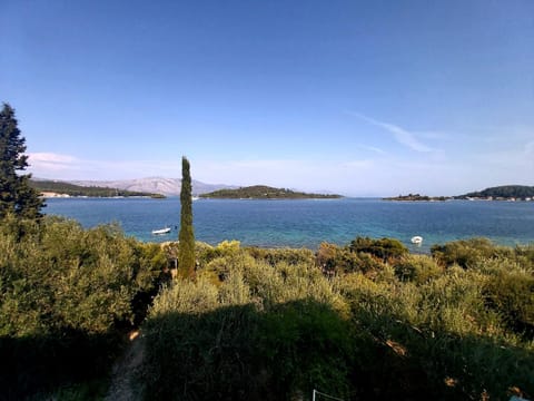Day, Summer, Beach, Garden view, Sea view