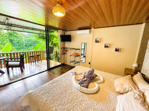 Bed, TV and multimedia, Photo of the whole room