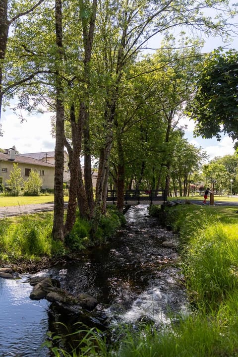 Natural landscape, Garden