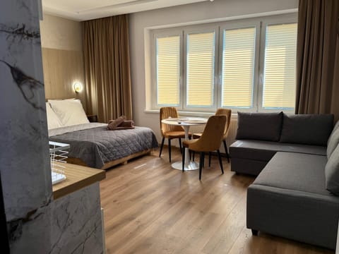 Bed, Living room, Photo of the whole room, Seating area, Bedroom