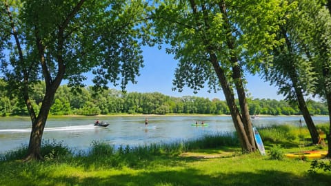 Natural landscape
