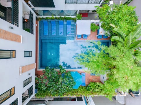 Garden, Garden view, Swimming pool
