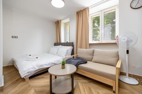 Bed, Living room, Photo of the whole room, Seating area, Bedroom, fireplace, towels, air conditioner