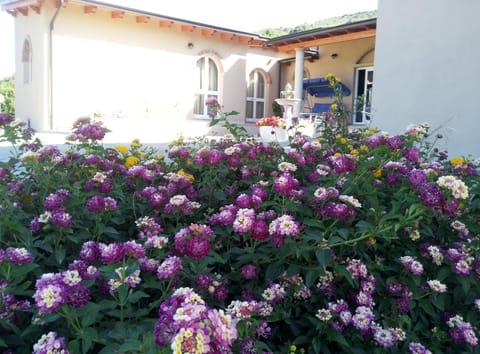 B&B Raggio di Sole Bed and Breakfast in Sardinia