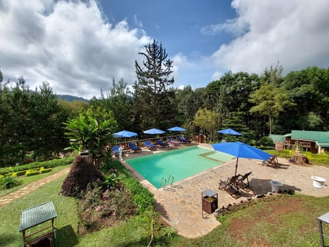 Swimming pool