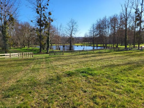 Natural landscape, Garden, Garden view, Lake view