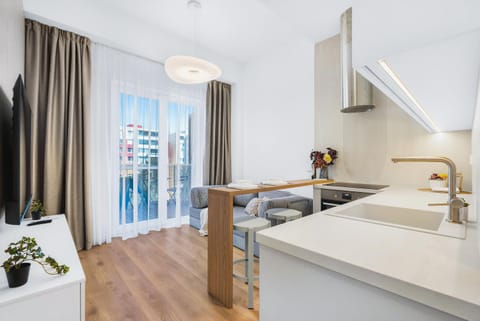 TV and multimedia, Kitchen or kitchenette, Living room, Photo of the whole room, Dining area