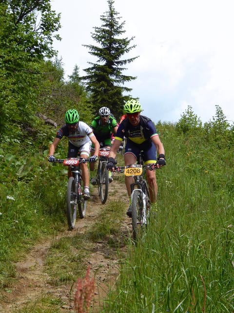 Spring, Summer, Cycling