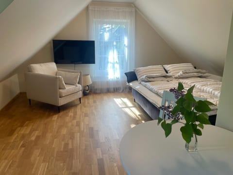 Bed, TV and multimedia, Living room, Bedroom