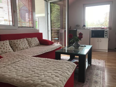 Apartments Premović Nikšić Apartment in Montenegro