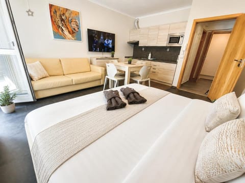 Bed, Kitchen or kitchenette, Living room, Photo of the whole room, Seating area, Bedroom