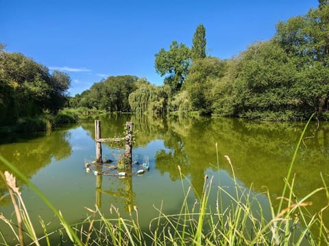 River view