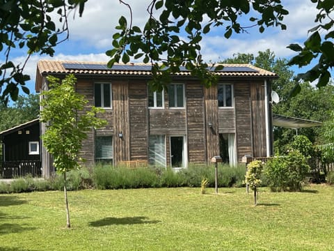 Spring, Day, Garden, Garden view