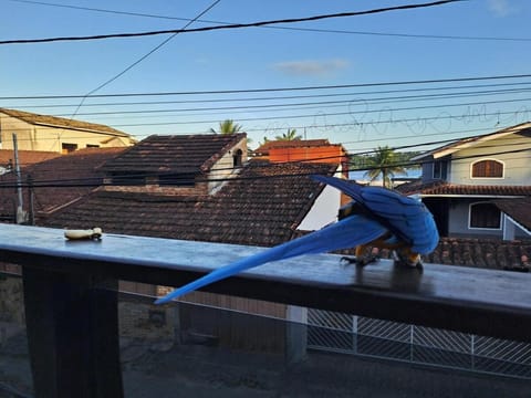 Property building, Balcony/Terrace