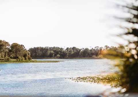 Lake view