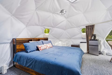 Bed, Photo of the whole room, Seating area, Bedroom