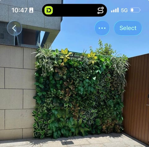 Property view