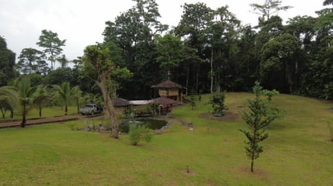 Garden, Garden, Garden view