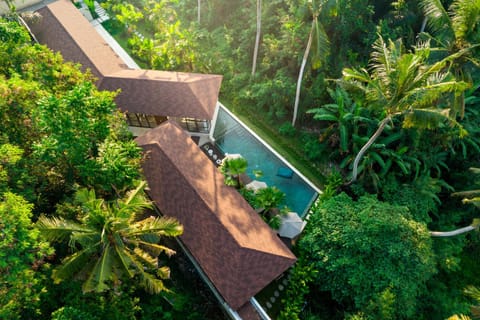 Property building, Natural landscape, Swimming pool