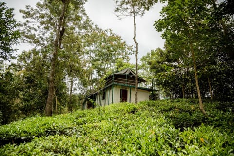 Natural landscape