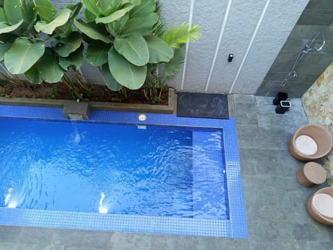 Garden, Swimming pool, Swimming pool
