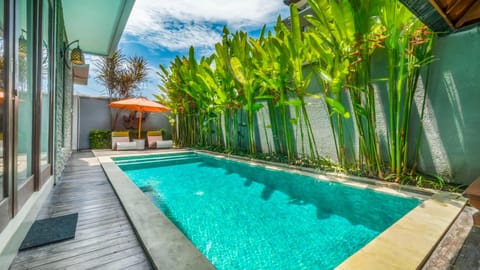 Garden, Garden view, Pool view, Swimming pool, Swimming pool, sunbed