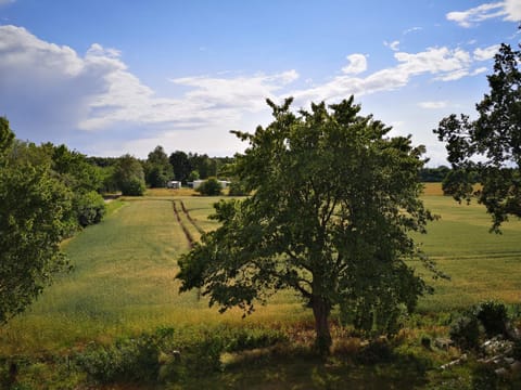 Natural landscape